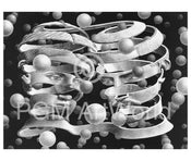 Kunstdruck M. C. Escher - Band ohne Ende 65x55cm