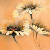 Kunstdruck Elena Filatov - Apricot Summer I 70x70cm