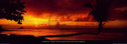 Kunstdruck Tom Mackie - Tropical Beach at Sunset 95x33cm