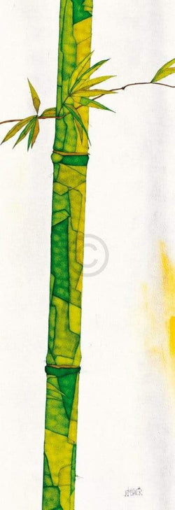 Kunstdruck Michael Ferner - Bambus Duo II 34x99cm