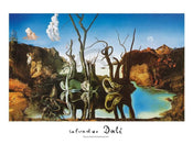 Kunstdruck Salvador Dali - Reflections of Elephants 80x60cm