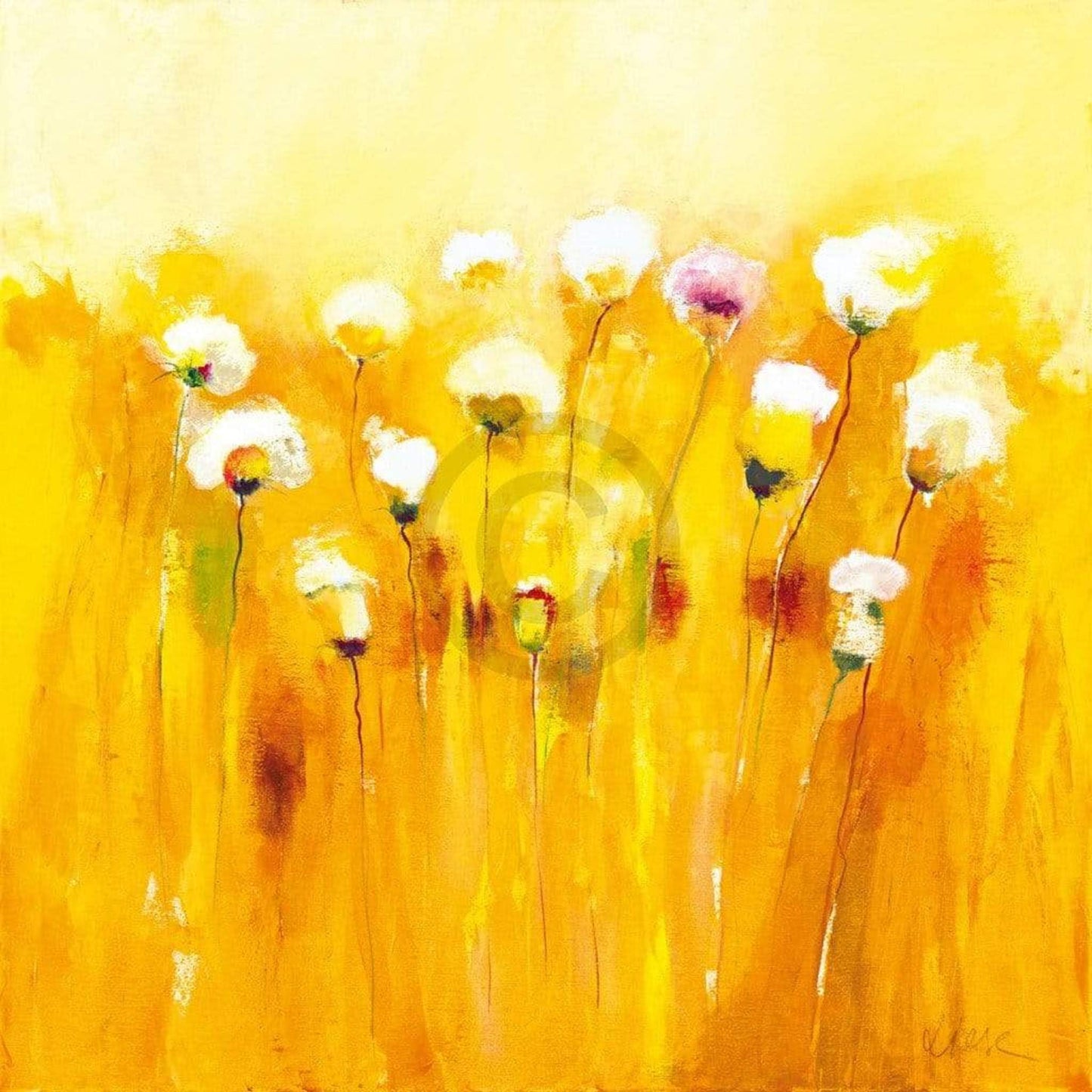 Kunstdruck Anne L. Strunk - Summerfields I 70x70cm