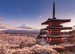 Poster Mount Fuji Blossom 140x100cm
