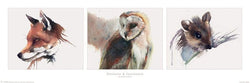 Poster Sarah Stokes Patience and Innocence 91,5x30,5cm