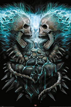 Poster Spiral Flaming Spine 61x91,5cm