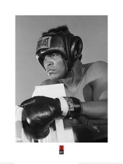 Kunstdruck Muhammad Ali Training 60x80cm