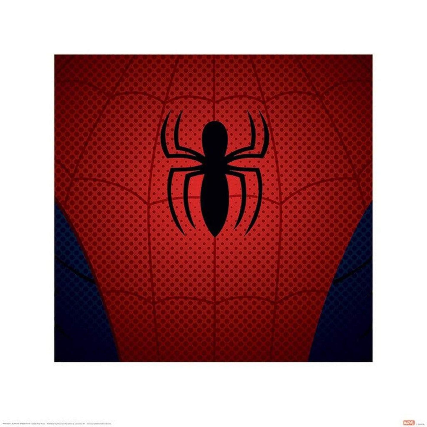 Kunstdruck Ultimate Spider-Man Spider-Man Torso 40x40cm