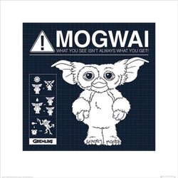 Kunstdruck Gremlins Mogwai Rules 40x40cm
