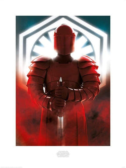 Kunstdruck Star Wars The Last Jedi Elite Guard Defend 60x80cm