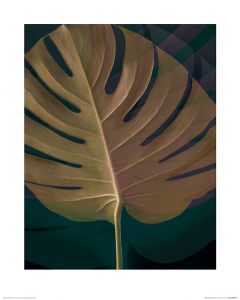 Dark Tropics III Art Print Ian Winstanley 40x50cm