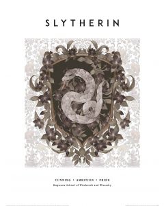 Harry Potter Slytherin Crest Art Print 30x40cm