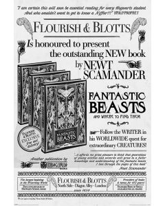 Fantastic Beasts 2 Flourish & Blotts Poster 61x91.5cm