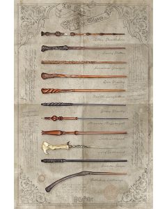 Harry Potter The Wand Chooses The Wizard Poster 61x91.5cm