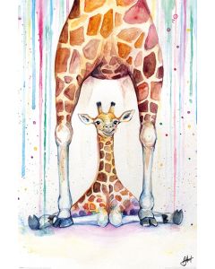 Marc Allante Gorgeous Giraffes Poster 61x91.5cm