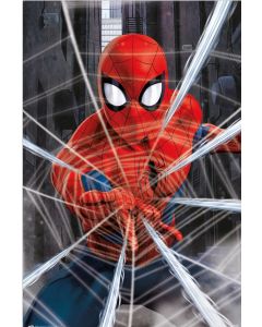Spider-Man Gotcha Poster 61x91.5cm