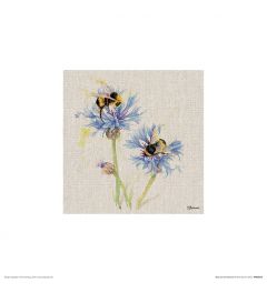 Bienen auf Kornblumen Art Print Jane Bannon 30x30cm