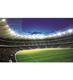 Fußball Stadion 2 1-teilige Vlies Fototapete 152x104cm