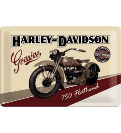 Harley-Davidson - 750 Flathead