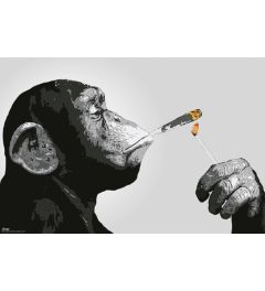 Steez Monkey  - Rauchend