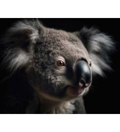 Koala Portret Kunstdruk 40x50cm