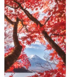 Mount Fuji in Autumn Kunstdruk