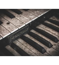 Piano Keys Kunstdruk