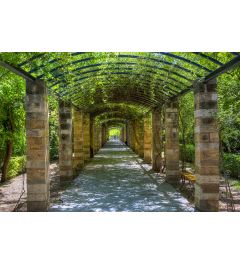 Garten von Athen 7-teilige Fototapete 350x260cm