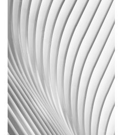 Calatrava Lines Art Print