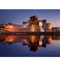 The Guggenheim Bilbao Art Print