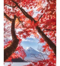 Mount Fuji in Autumn Kunstdruk