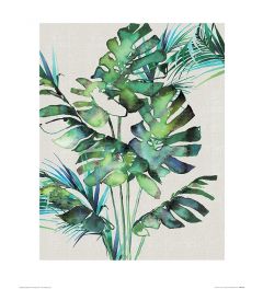 Summer Thornton Monstera Leaves Art Print 40x50cm