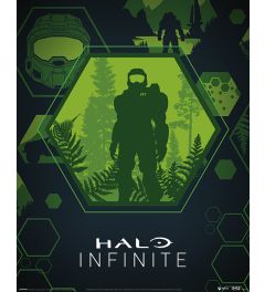 Halo Infinite Master Chief Hex Poster 40x50cm