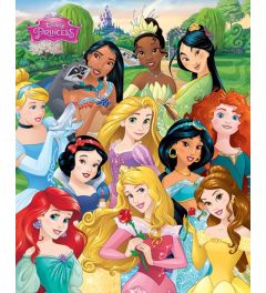Disney Princess Prinsessen Poster 40x50cm