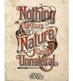 Fantastic Beasts Unnatural Poster 40x50cm