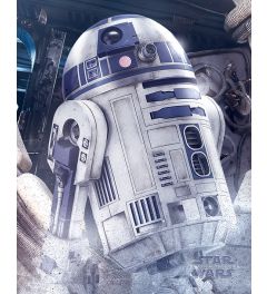 Star Wars The Last Jedi R2-D2 Droid Poster 40x50cm