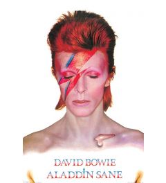 David Bowie Aladdin Sane Poster 61x91.5cm