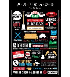 Friends Infographic Poster 61x91.5cm