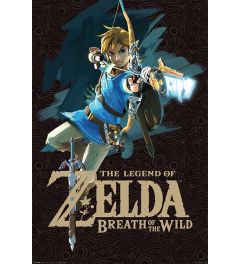 Zelda Breath Of The Wild - Zelda