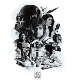 Star Wars 40 Jarig Bestaan Poster 61x91.5cm