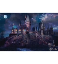 Harry Potter Hogwarts Poster 61x91.5cm