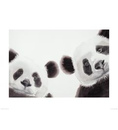 Zwei Große Pandas Art Print Aimee Del Valle 60x80cm