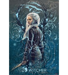 The Witcher Ciri the Swallow Poster 61x91.5cm