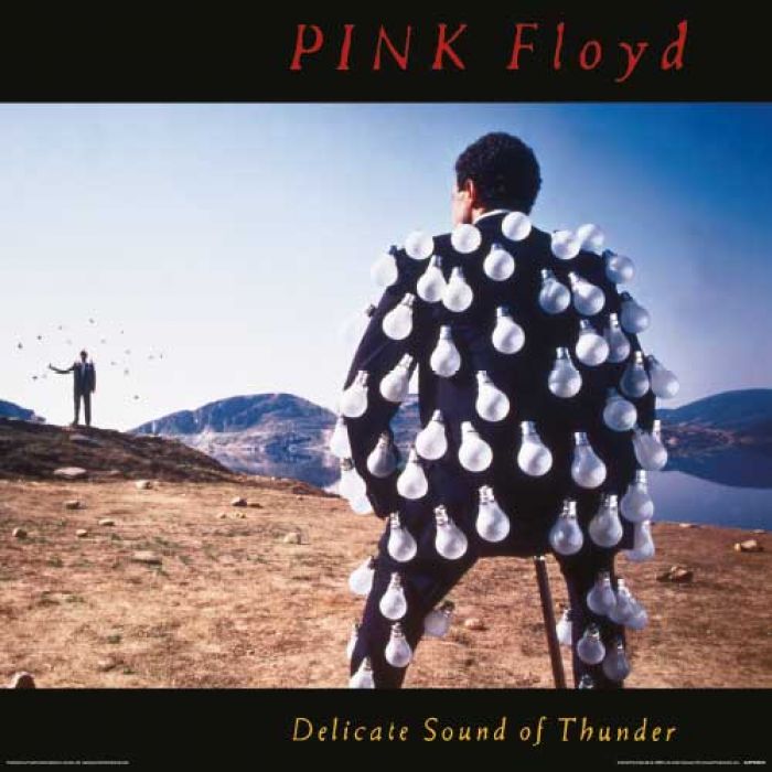 Pink Floyd Delicate Sound of Thunder Album Cover 30.5x30.5cm