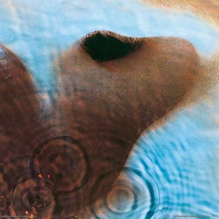 Pink Floyd Meddie Album Cover 30.5x30.5cm