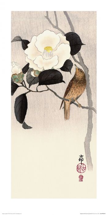 Ohara Koson Songbird and Flowering Camellia Art Print 30x60cm