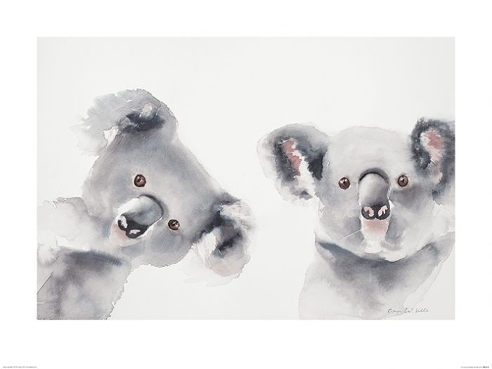 Koala's Art Print Aimee Del Valle 60x80cm